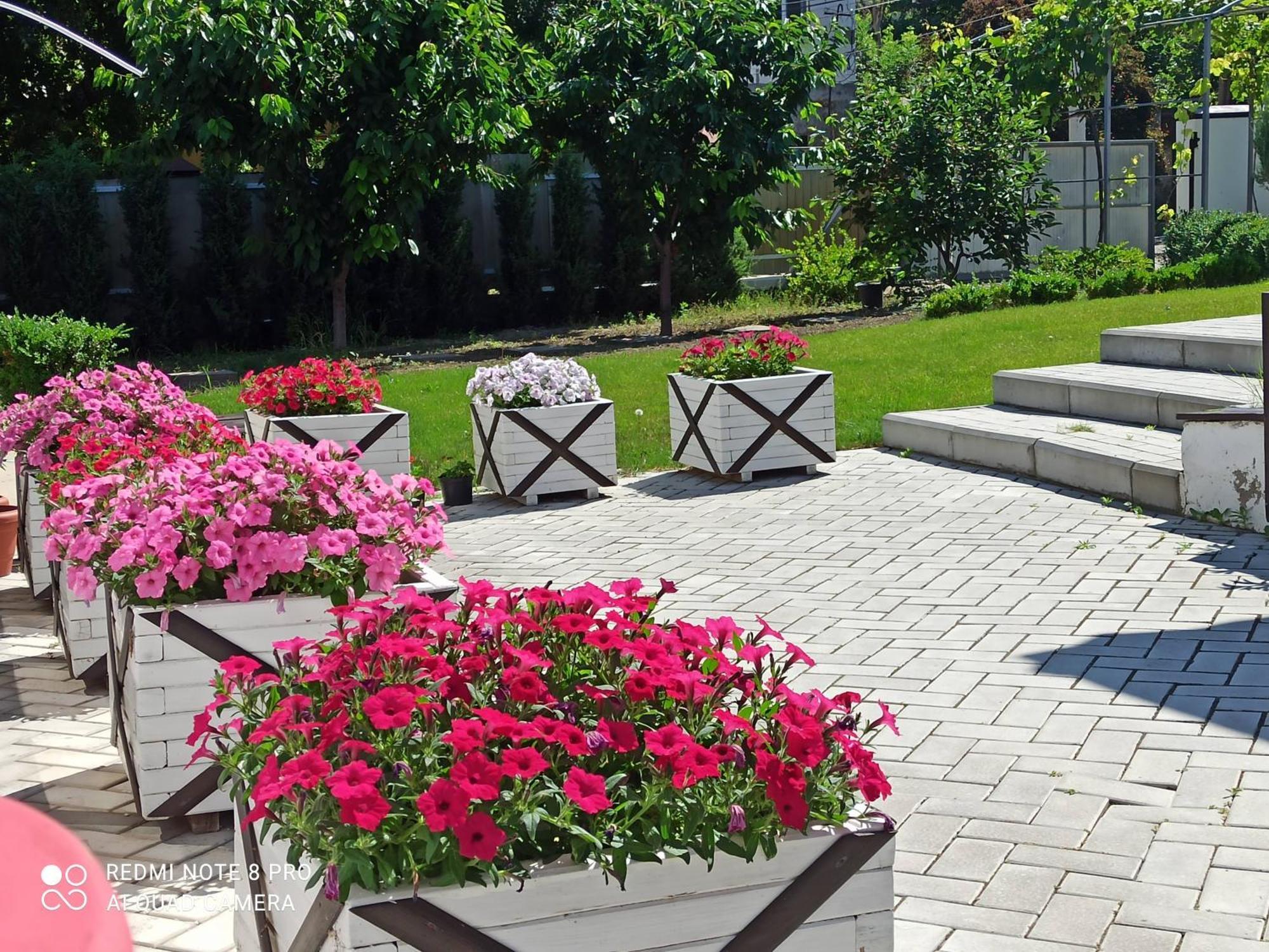 Экодом Hotell Bilhorod-Dnistrovsʼkyy Exteriör bild
